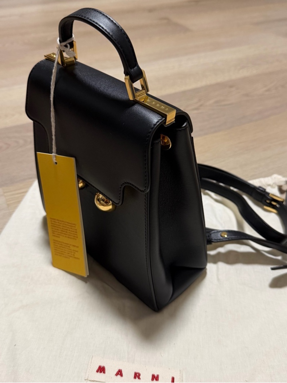Marni Black Trunkaroo Leather Mini Backpack with Gold Hardware - Picture 3 of 13